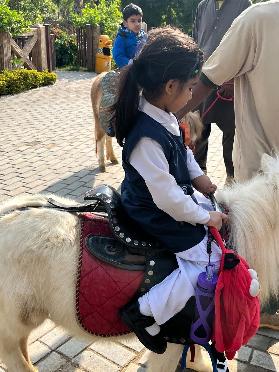 Pony Ride